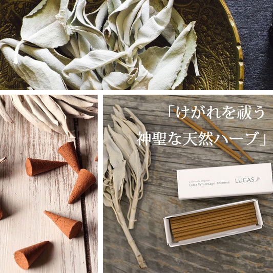 NEW !! LUCAS ホワイトセージ 取り扱い始めました☆彡