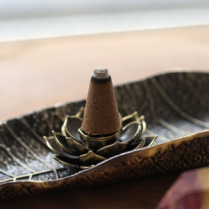 セプテム　エルヴィナス　クリスタリューション10本セット リニューアル6年目! エルヴィナス クリスタリューション/フェア