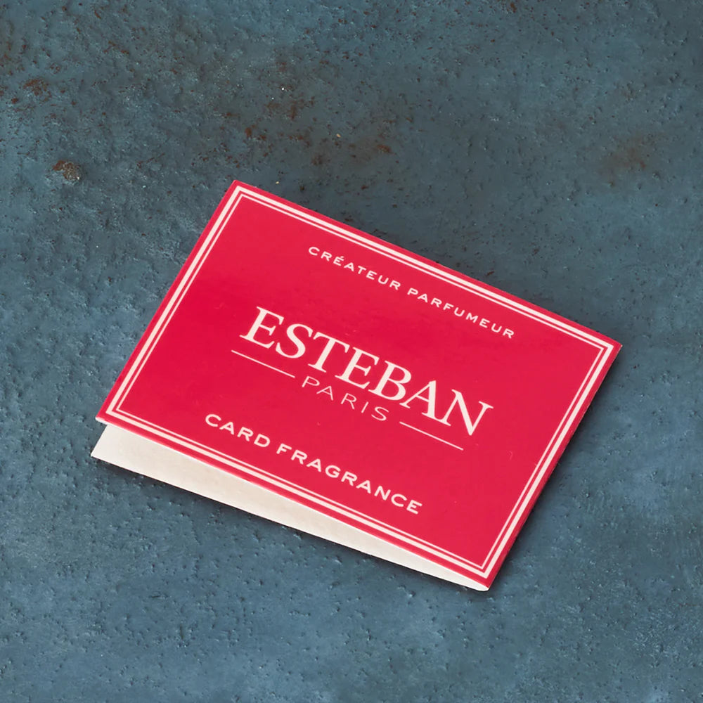 ESTEBAN（エステバン）カードフレグランス マグノリア 5枚入り